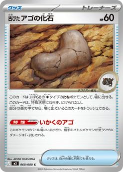 PK-M3-068 Hóa thạch hàm cổ C